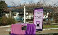 برپایی کمپین HPV