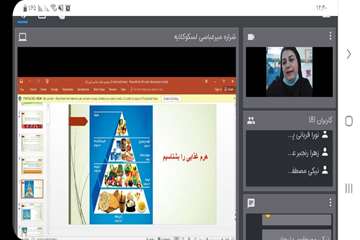 برگزاری وبینار تغذیه سالم و پیشگیری و کنترل چاقی کودکان و نوجوانان