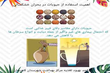 تغذیه در  خشکسالی 